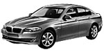 BMW F10 B1203 Fault Code